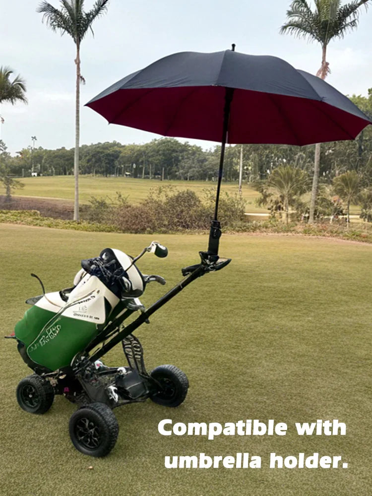 Eswing 2025 Four Wheel Stand up Golf Buggy 10 Inch 1600W Electric Golf Cart Folding Trolley Golf Scooter for Golf Courses
