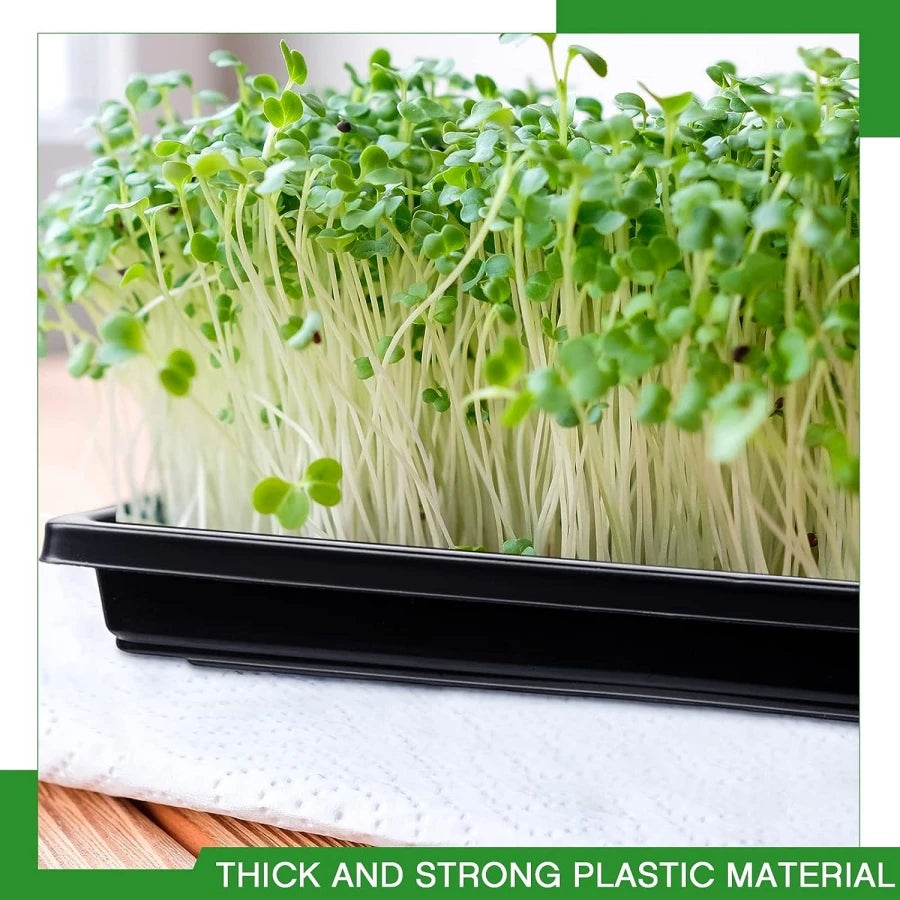 6PCS 27x27cm Square Plastic Garden Seed Starter Grow Trays No Drain Holes Plant Seeding Tray Flats for Growing Microgreens Wheat