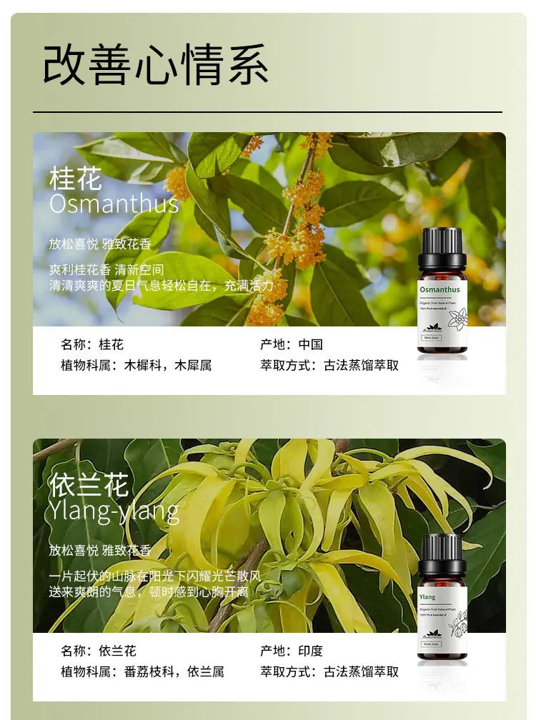 10ml Candle Scents Freesia Single Essential Oil Jasmine Aromatherapy Massage Flower Essential Oil Soap Scent