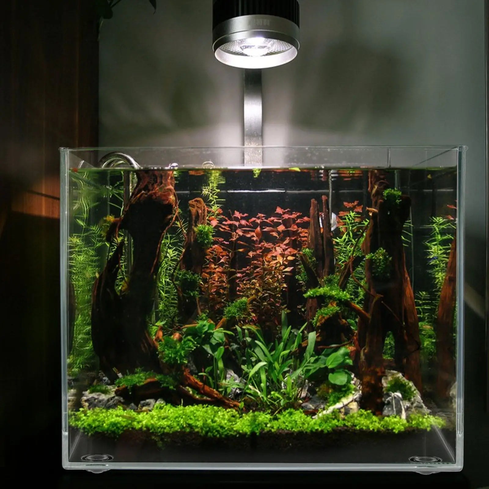 Desktop Aquarium Small Fish Tank for Betta Rimless Clear Plastic Tank Household Multi-Use Aquarium for Indoor Decoration