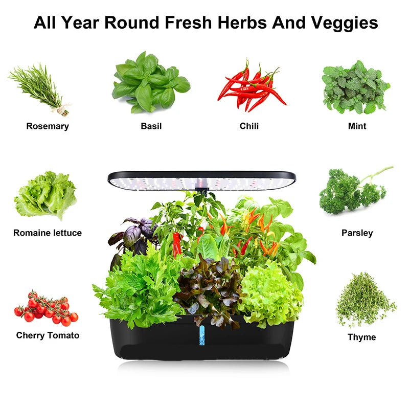 12 Holes-Hydroponic System Kits Indoor Soilless Cultivation Equipment Vegetable fruit herb Planting Box LED Plant Growth lamp