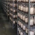 Cultivation Bags100Pcs Mushroom Growing Bag Spawn Bags Thick 6 Bags 5.9inchx13.8inch 0.2 Micrometre Filter