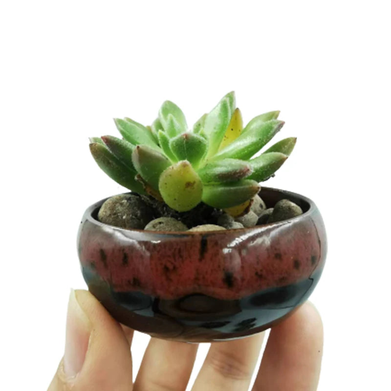 6pc Kiln-changed Flower Pot Bonsai Ceramic Pots For Plants Mini Succulent Plant Small Cactus Outdoor Container Modern Decorative
