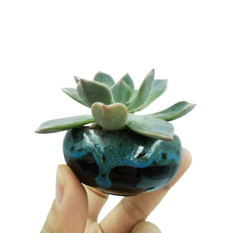 6pc Kiln-changed Flower Pot Bonsai Ceramic Pots For Plants Mini Succulent Plant Small Cactus Outdoor Container Modern Decorative