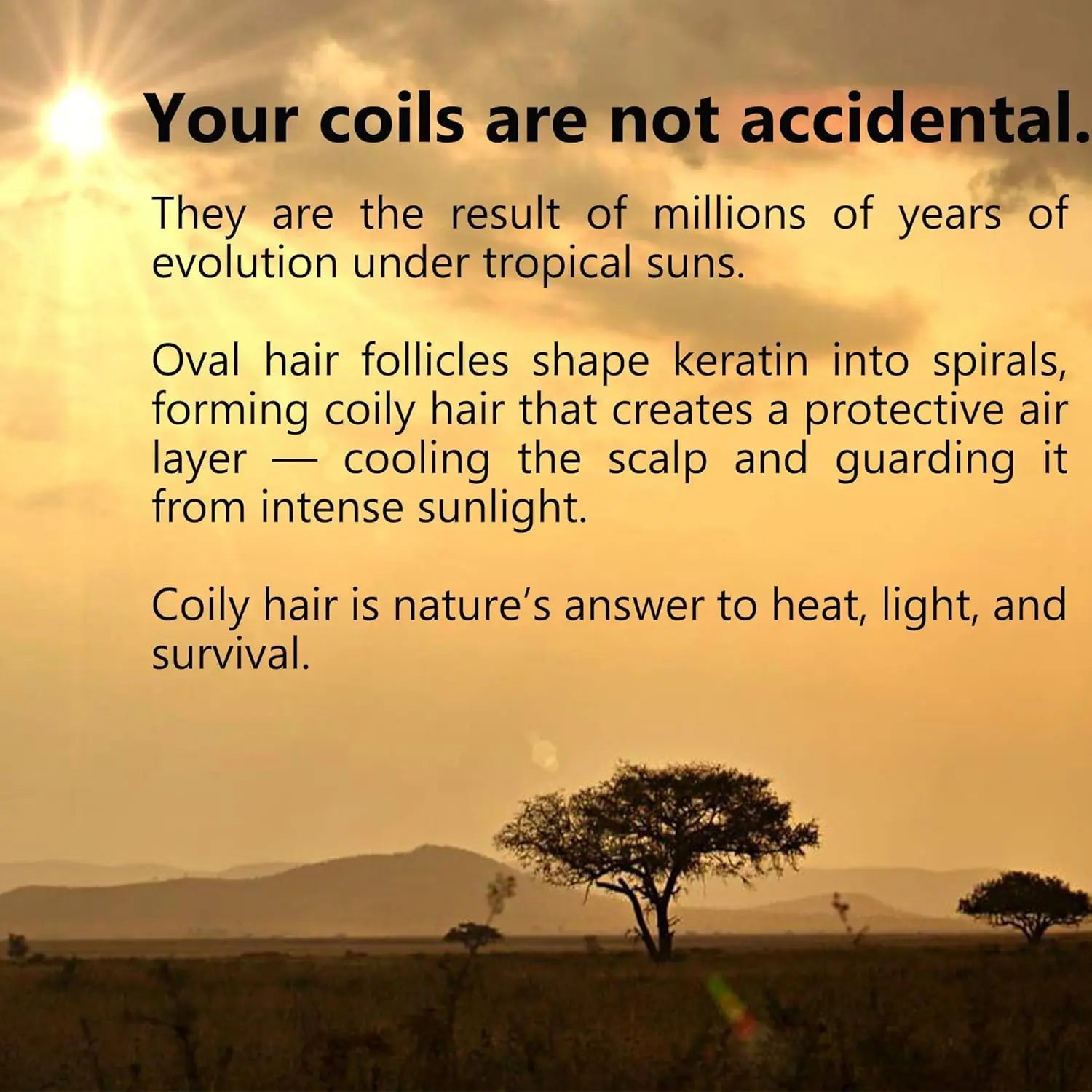 110ml West African-Inspired Coily Hair Oil with Rosemary & Castor, Lightweight & Silky, Soaks into Coils, Moisture That Lasts