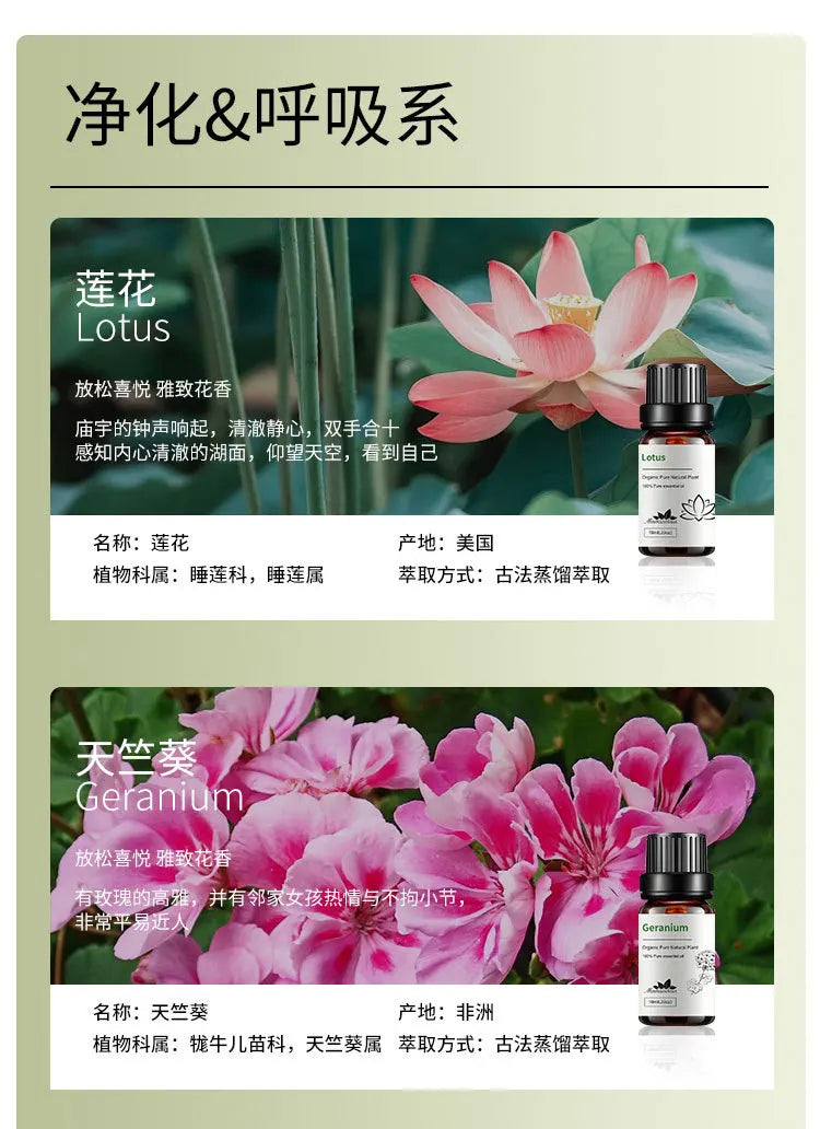 10ml Candle Scents Freesia Single Essential Oil Jasmine Aromatherapy Massage Flower Essential Oil Soap Scent