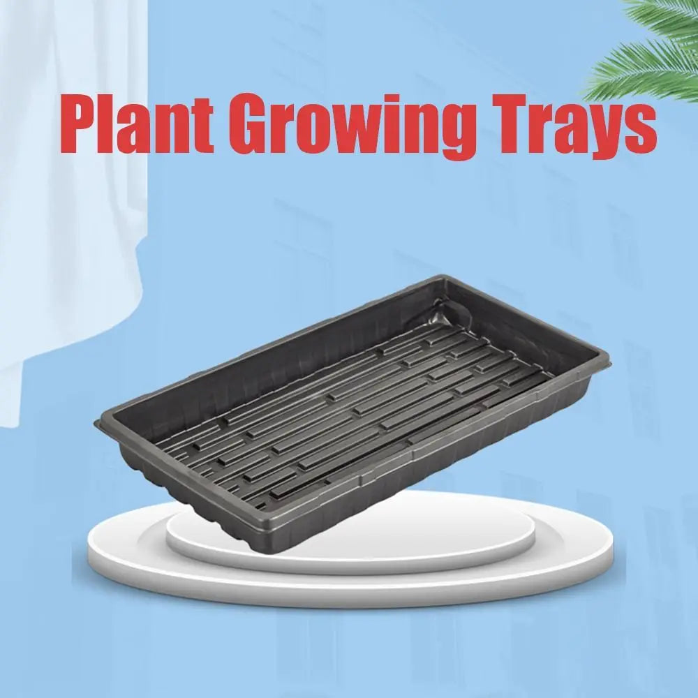 10Pcs Plastic Growing Trays No Holes Seed Propagation Tray Durable Nursery Seedling Trays Reusable Seed Germination Trays