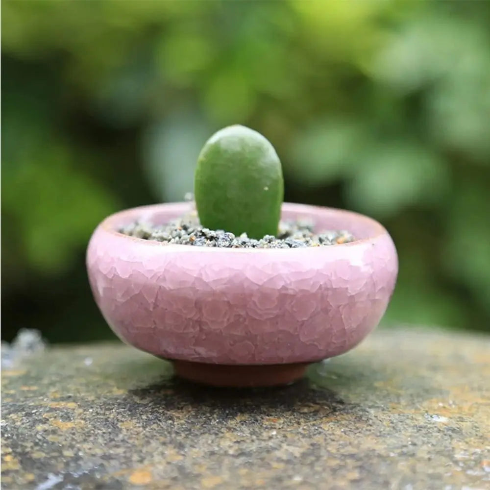 Durable Breathable Ice-Crack Glaze Ceramic Flowerpots Thickened Perforated Succulent Flowerpot Mini Cute Plants Planter Office