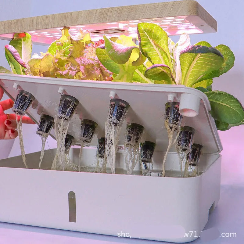 12 Holes-Hydroponic System Kits Indoor Soilless Cultivation Equipment Vegetable fruit herb Planting Box LED Plant Growth lamp