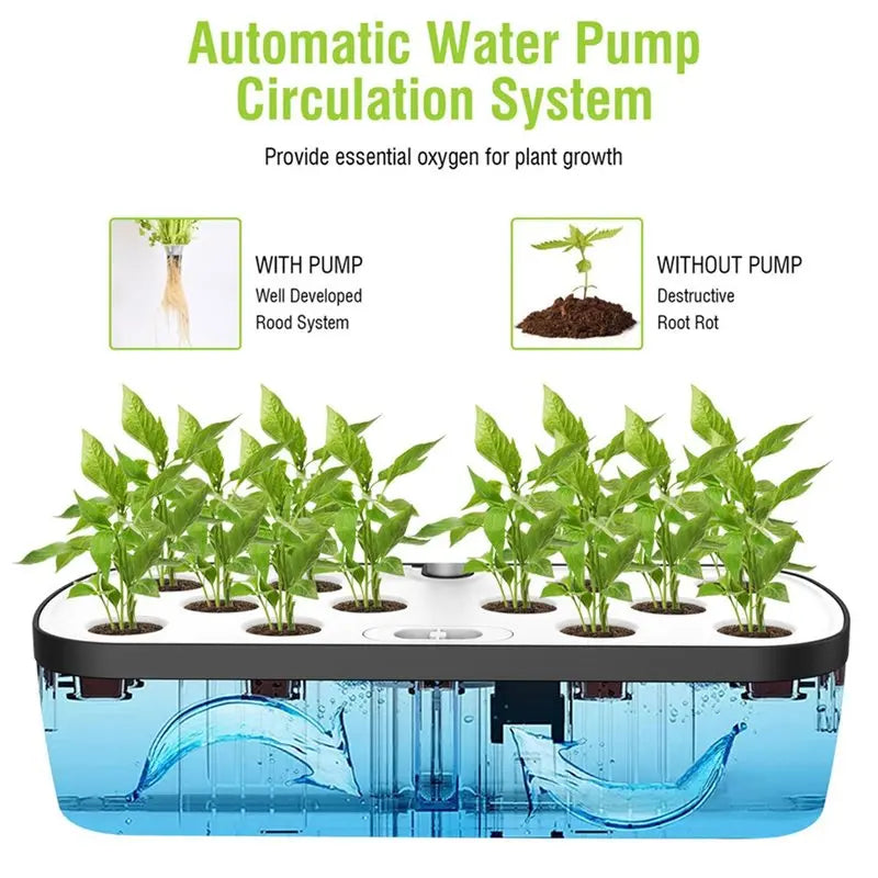 ABGI-New Indoor Hydroponic Grow System With 12 Holes Full Spectrum LED Grow Light Automatic Pump For Herbs Vegetables EU Plug
