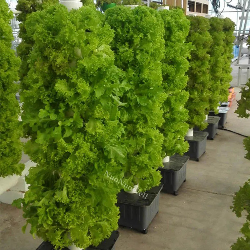 DIY Hydroponic Growing System Home Vertical Tower Veg Planter Indoor Vegetable Fruits Soilless Cultivation Equipment