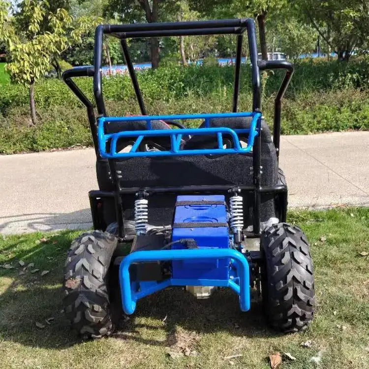 Electric Go-kart Drift Mini Go Kart Kid Off Road Buggy 48v 500W Double Seat