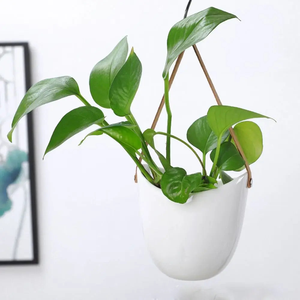 Creative White Wall Hanging Flower Pot Ceramic Thickened Hanging Flower Basket Sturdy Hydroponic Planter Holder Outdoor