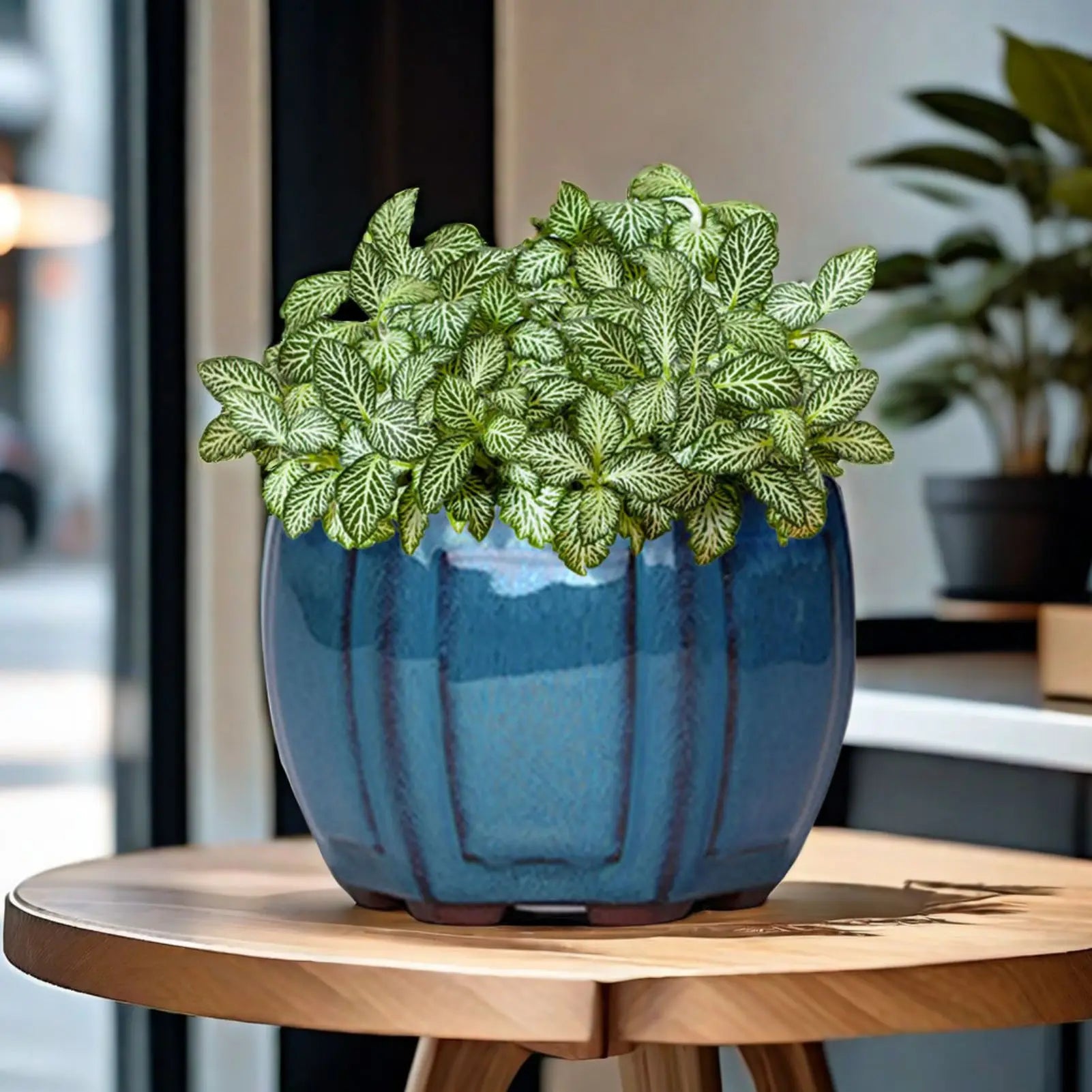 Ceramic Succulent Flower Pot Breathable Succulent Plant Pots Pot with Holes Ceramic Craft Plant Pot Planter for Home