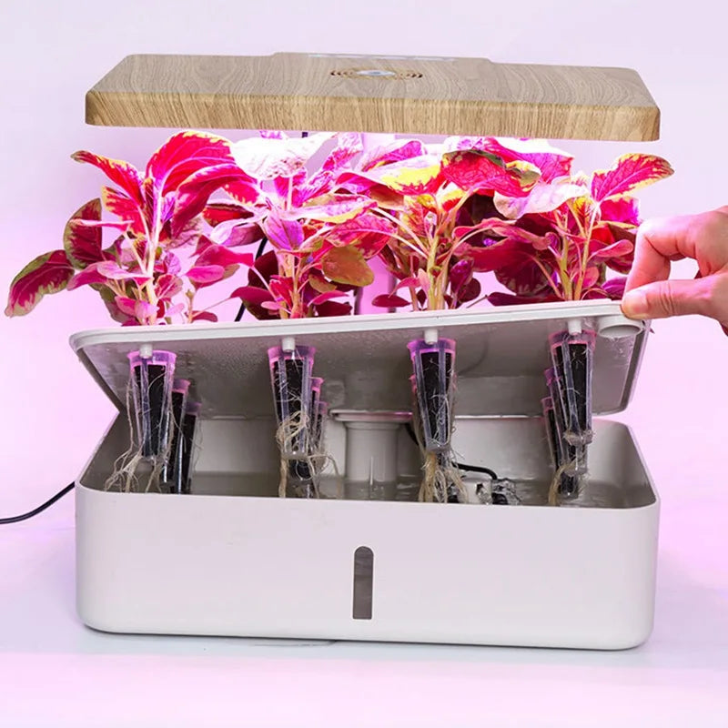 12 Holes-Hydroponic System Kits Indoor Soilless Cultivation Equipment Vegetable fruit herb Planting Box LED Plant Growth lamp