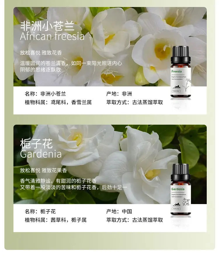10ml Candle Scents Freesia Single Essential Oil Jasmine Aromatherapy Massage Flower Essential Oil Soap Scent