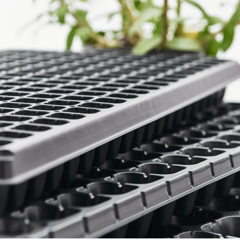 10Pcs Plastic Growing Trays No Holes Seed Propagation Tray Durable Nursery Seedling Trays Reusable Seed Germination Trays