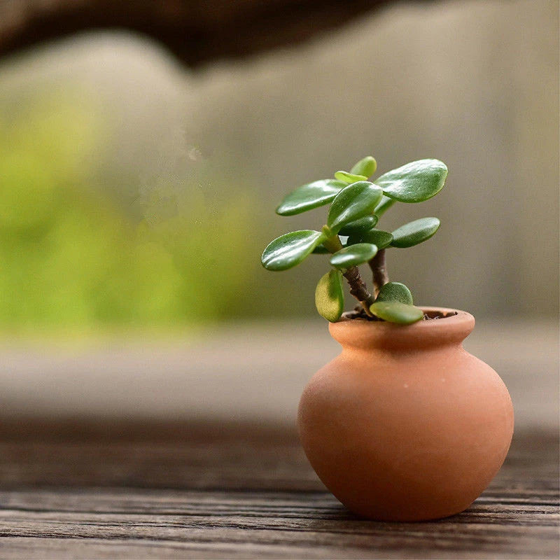 2PCS Mini Flower Pots Ceramic Clay Succulent Plants Pot For Plant Wedding Decoration Craft Handicrafts Garden Orchards Home