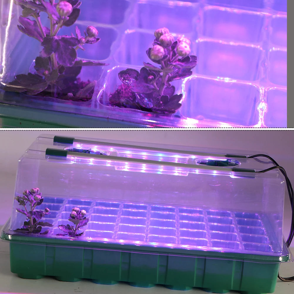 40/80 Cells Seed Starter Tray with 2 Long Strip Grow Light Seed Starter Kit with Humidity Dome for Home Garden Plants Cultivate