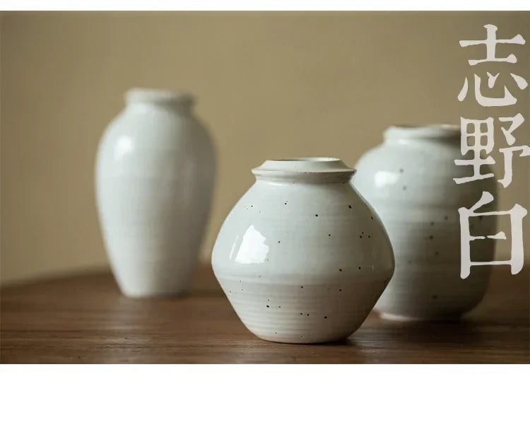 Aesthetic Ceramic Flower Vase Luxury Outdoor Tall Office Balcony Vases Pottery Vaso Decorativo De Luxo Decoration Home