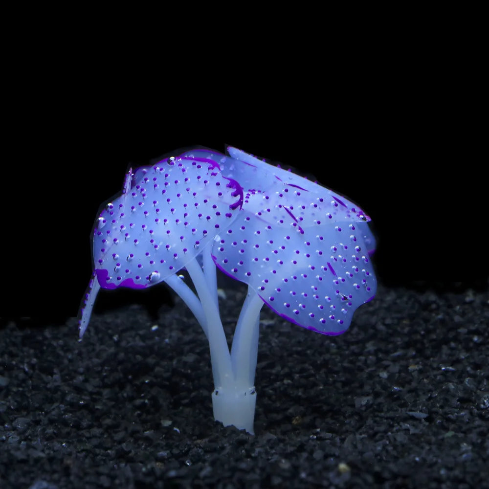 Artificial Glowing Anemone Luminous Plant Fish Tank Aquarium Decoration Underwater Landscape Ornament Aquascaping Accessories