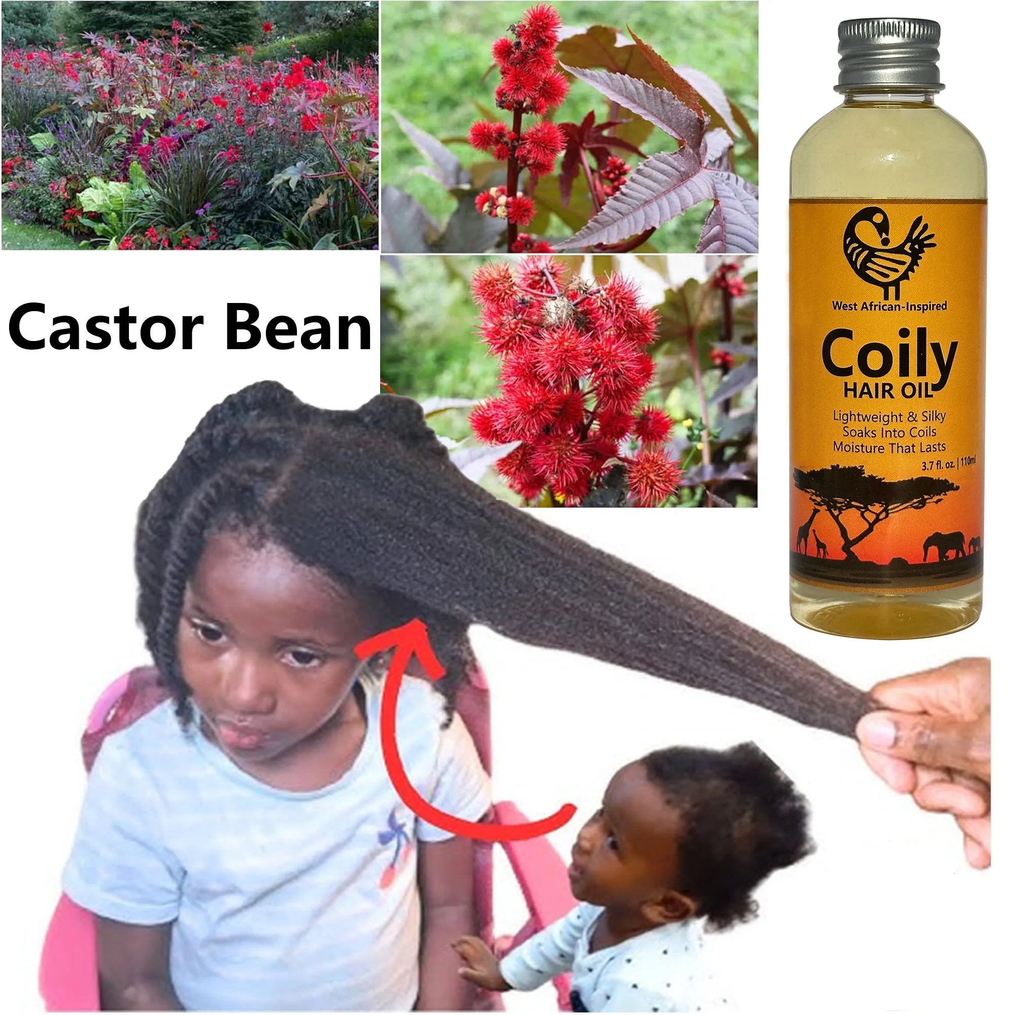 110ml West African-Inspired Coily Hair Oil with Rosemary & Castor, Lightweight & Silky, Soaks into Coils, Moisture That Lasts