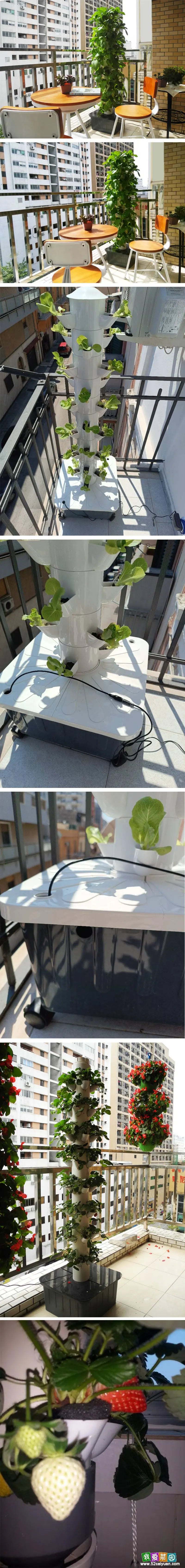 DIY Hydroponic Growing System Home Vertical Tower Veg Planter Indoor Vegetable Fruits Soilless Cultivation Equipment