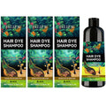 Black Hair Dyeing Shampoo Covering White Hair Enhancing Hair Shine Nourishing Root Beauty Hair Moisturizing Hairdressing Shampoo