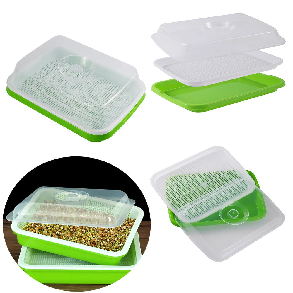 1 Set Sprout Dish Growing Pot Hydroponic Seedling Vegetable Beans Seeding Pot Household Plants Germination Tray Nursery With Lid