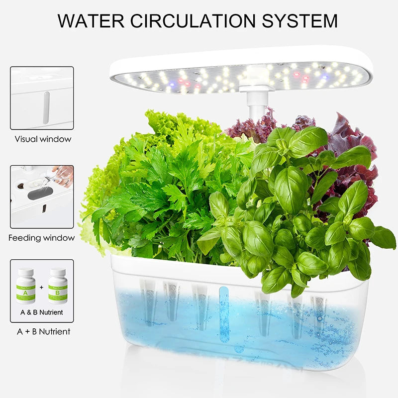 12 Holes-Hydroponic System Kits Indoor Soilless Cultivation Equipment LED Plant Growth lamp Vegetable fruit herb Planting Box