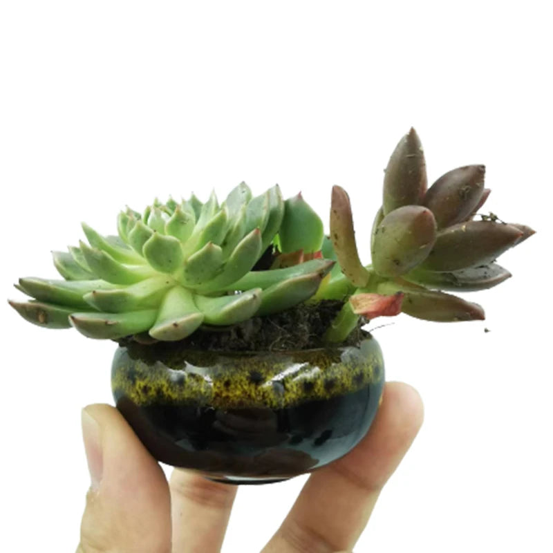 6pc Kiln-changed Flower Pot Bonsai Ceramic Pots For Plants Mini Succulent Plant Small Cactus Outdoor Container Modern Decorative