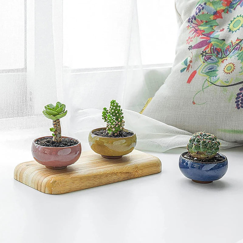 Cute Ice-Crack Glaze Flower Ceramics Succulent Planter Mini Plant Pot Garden Flowerpot For Home Office Decor Plant Pot