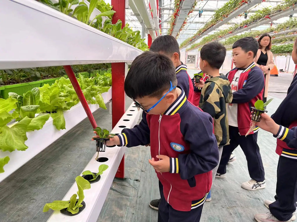 Custom Multi Tier Indoor Cultivation Plant Led Grow System Movable Rolling Hydroponic Vertical Farming Mobile Grow Rack