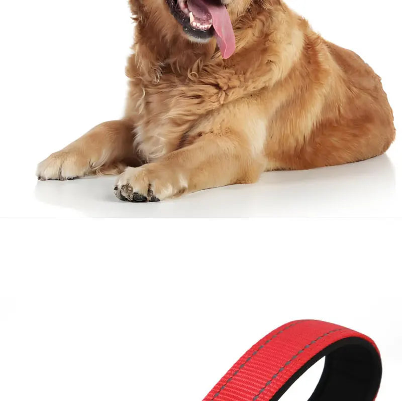 Dogs Leads Leashes Reflective Drawstring Pet Leash Explosion-proof Dog with D-ring & Metal Fastener for Dog Walking and Training