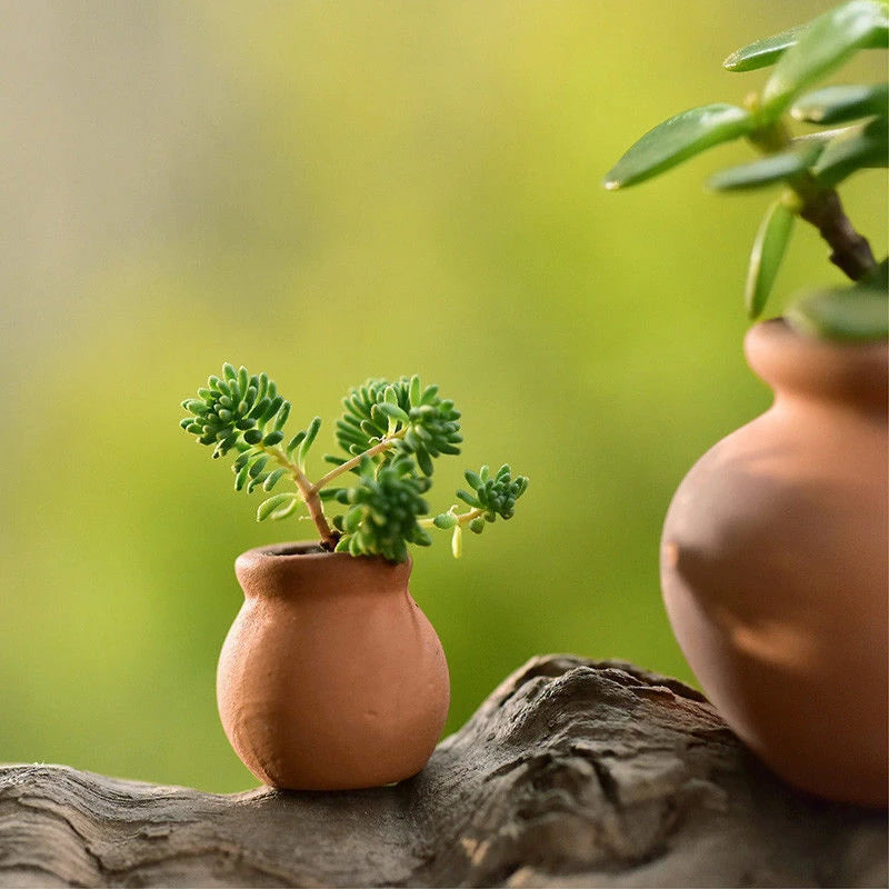 2PCS Mini Flower Pots Ceramic Clay Succulent Plants Pot For Plant Wedding Decoration Craft Handicrafts Garden Orchards Home