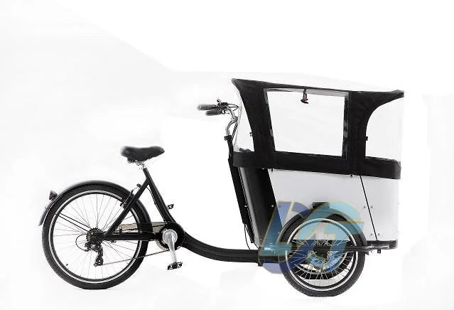 Electric Cargo Bicycle Cargo Bike Used for Family 3 Wheel Bike to Carry Kids