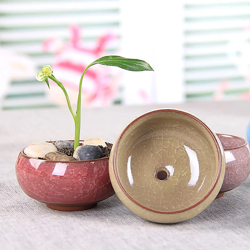 Cute Ice-Crack Glaze Flower Ceramics Succulent Planter Mini Plant Pot Garden Flowerpot For Home Office Decor Plant Pot