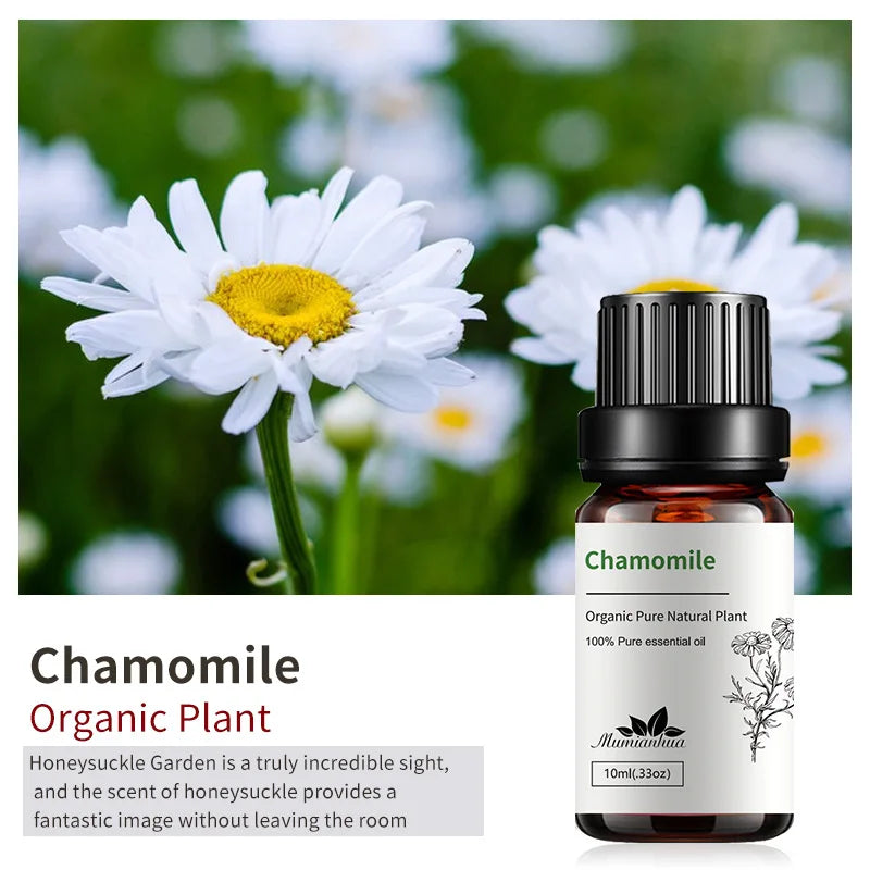 10ml Candle Scents Freesia Single Essential Oil Jasmine Aromatherapy Massage Flower Essential Oil Soap Scent