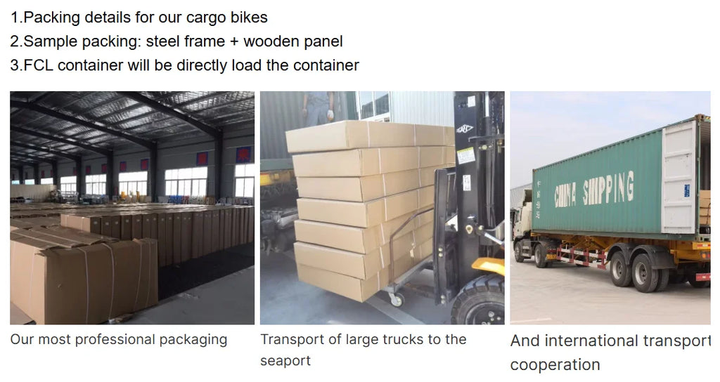 Electric Cargo Bicycle Cargo Bike Used for Family 3 Wheel Bike to Carry Kids