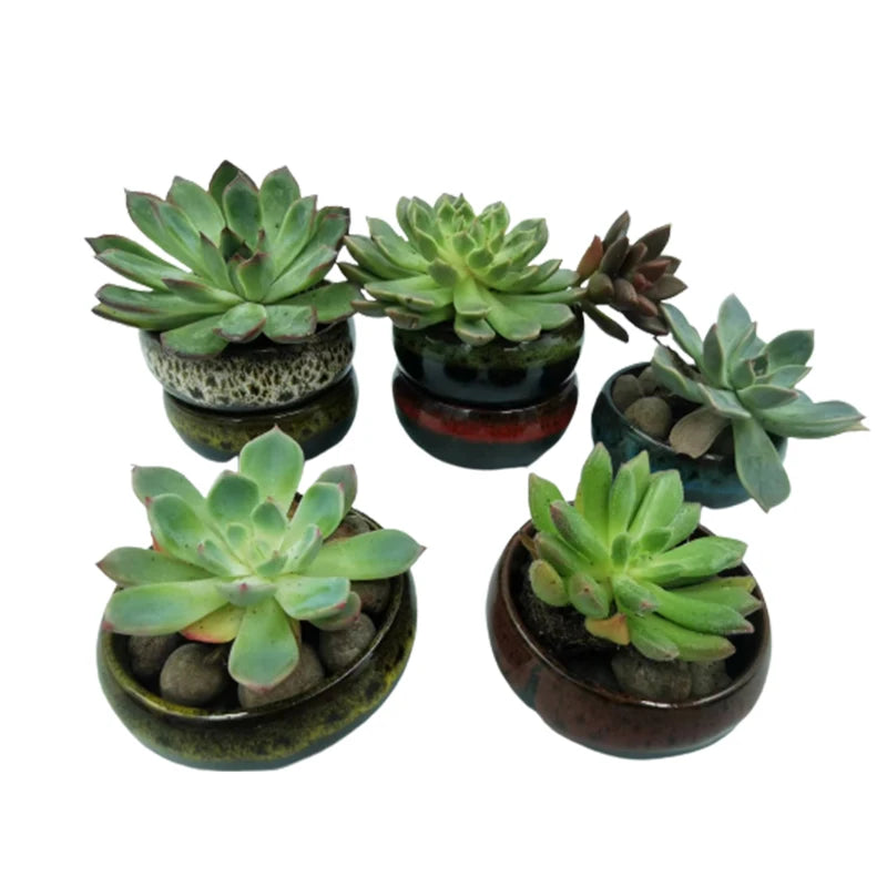 6pc Kiln-changed Flower Pot Bonsai Ceramic Pots For Plants Mini Succulent Plant Small Cactus Outdoor Container Modern Decorative