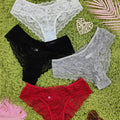 4 Pcs Women's Elegant Sheer Jacquard Lace Bikini Panties, Mid Stretch Low Waist Panties, Women's Lingerie & Underwear